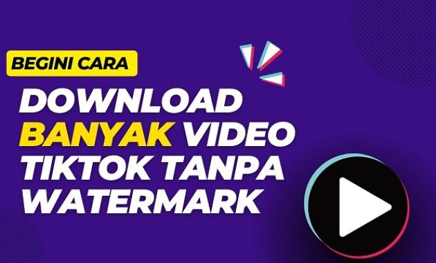 10 Website Tiktok Dwonloader Tanpa Watermark