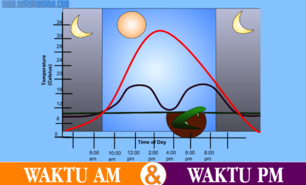 Perbedaan Antara Waktu Am dan Pm