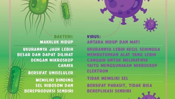 antara bakteri dan virus