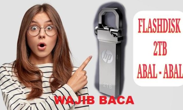 ciri-ciri flashdisk palsu