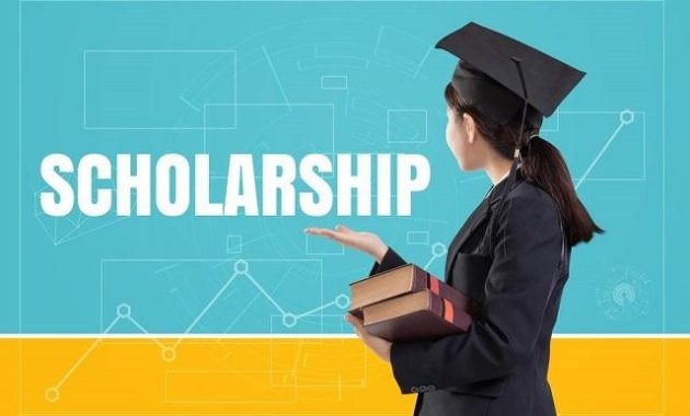 A Comprehensive Guide to the National Scholarship Portal