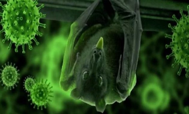 निपाह वायरस